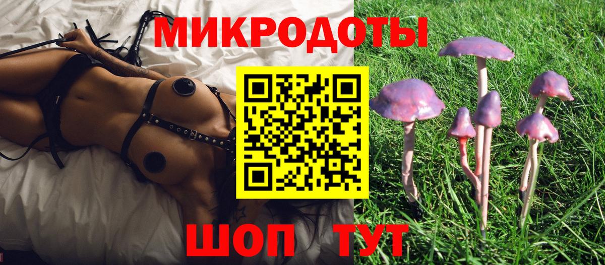Псилоцибиновые грибы мухоморы Нальчик