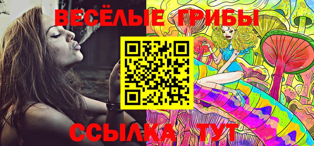 даркнет сайт  Вход с VPN  Нальчик  Галлюциногенные грибы ЛСД 